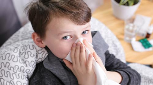 Seg&uacute;n cient&iacute;ficos, el consumo de fibra podr&iacute;a proteger de la gripe