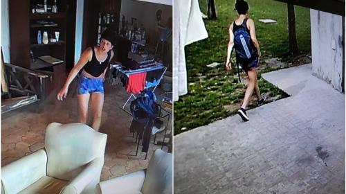 C&aacute;maras de seguridad descubren a peculiar ladrona en Argentina