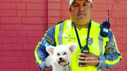 Detuvieron el tráfico en el Periférico para salvar a un perrito