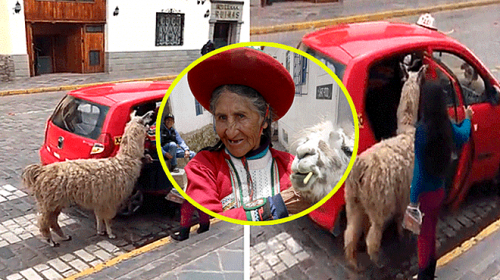 La verdad detrás de la llama que subió en taxi