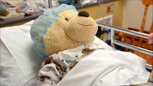 La operación más emotiva: cirujano interviene a un peluche