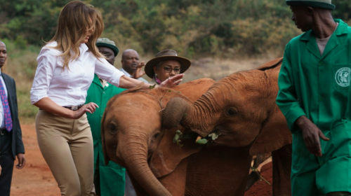 El susto de Melania Trump cuando un elefante se le lanz&oacute;
