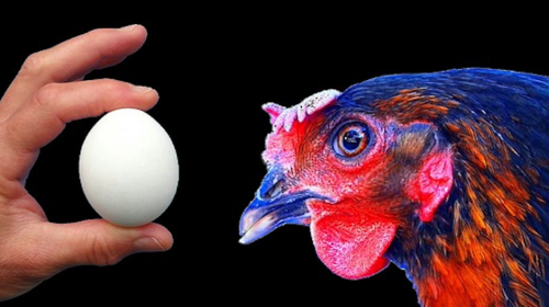 F&iacute;sica cu&aacute;ntica responde la duda si fue antes el huevo o la gallina