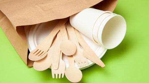 Las alternativas ante las prohibiciones de usar plásticos