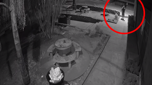 Así quedó filmada la riña en la que murió un abogado en la USAC