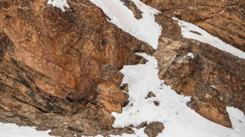 Reto visual: encuentra al leopardo camuflado en las rocas