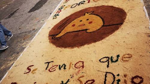 La alfombra que causa sensaci&oacute;n en la sexta avenida