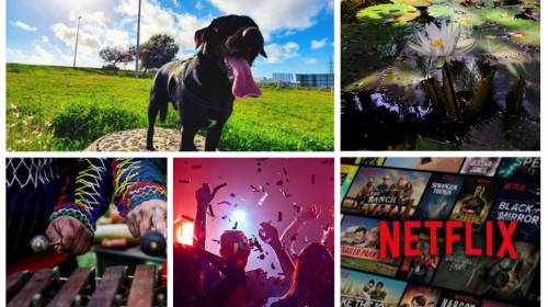 &iquest;No sabes qu&eacute; hacer en este finde largo? Mira estas opciones