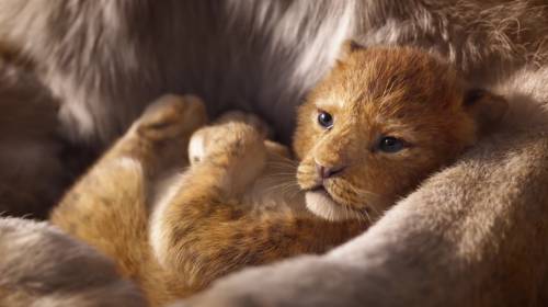 Filtran im&aacute;genes in&eacute;ditas de la nueva pel&iacute;cula de "El Rey Le&oacute;n"