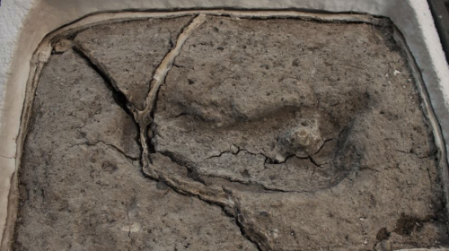 Descubren la que ser&iacute;a la huella humana m&aacute;s antigua en Am&eacute;rica