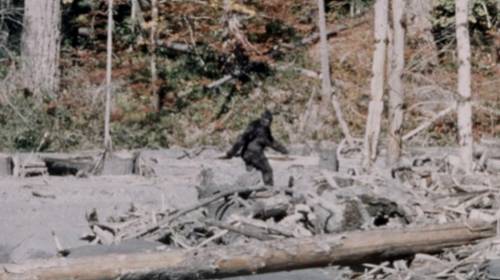 Ej&eacute;rcito indio publica fotos de supuestas "huellas" del Yeti 