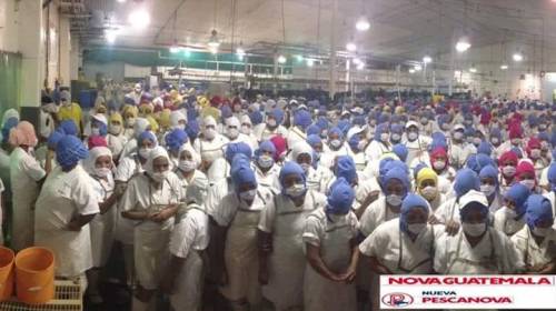 Camaronera en Champerico suspende operaciones por las extorsiones