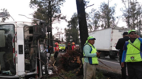Camión vuelca, derriba un árbol en el Anillo Periférico