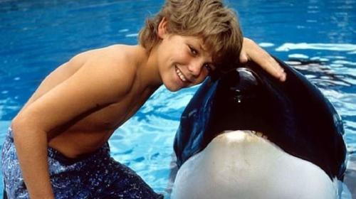 ¿Sabes qué fue del niño protagonista de “Liberen a Willy”?