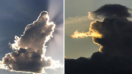 Viralizan foto de nubes con forma de animales en Ruta a Atl&aacute;ntico
