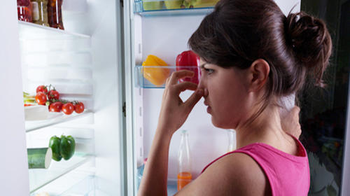 As&iacute; puedes eliminar el mal olor de tu refrigerador