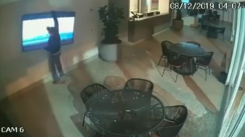 Los consideran los ladrones m&aacute;s torpes del mundo por esta raz&oacute;n