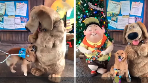 La reacci&oacute;n de un perro al conocer a personajes de "UP"