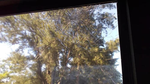 Denuncian violencia contra bus de Antigua al ingreso al Estadio