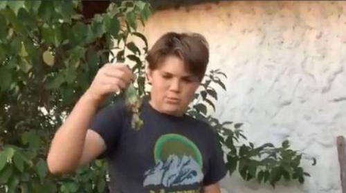 "Adi&oacute;s, Chimuelo" y bienvenidos los "memes" del viral del momento