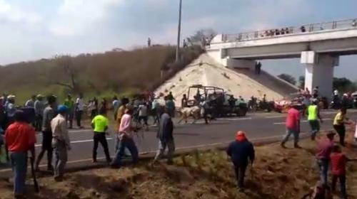 Pobladores roban reses de camión que sufrió accidente en autopista