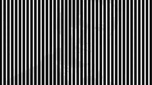 &iquest;Qu&eacute; ves?, el reto viral que no todos pueden resolver