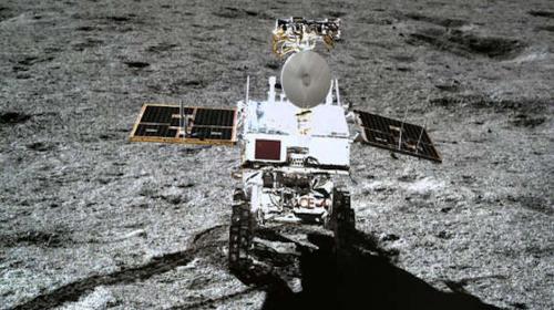 Una semilla de algodón brota por primera vez en la Luna