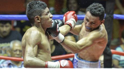 Guatemala le da la bienvenida al boxeo profesional