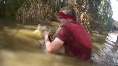 #BirdBoxChallenge: atrapando caimanes con ojos vendados