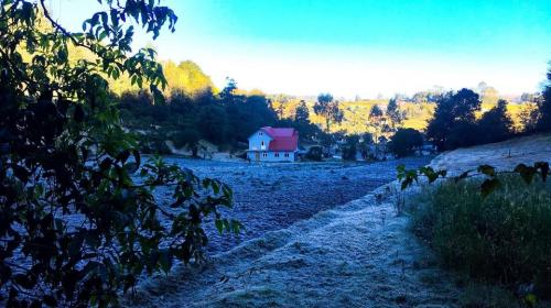 Fuerte helada en Guatemala deja terrenos con escarcha