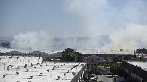 Incendio forestal alarma a vecinos de la zona 12