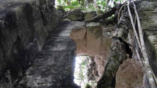 La tecnología que localizó nuevas estructuras mayas en Petén