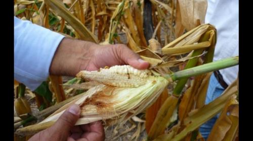 El fenómeno de El Niño afectará al país este año