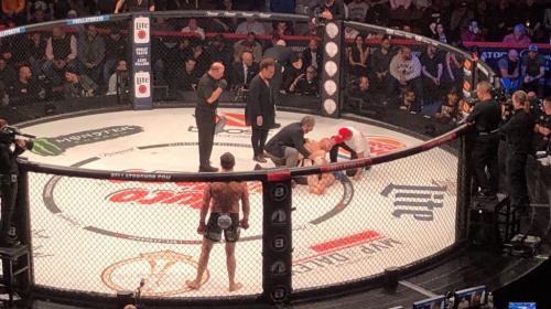 La brutal y dolorosa patada ilegal en combate de MMA