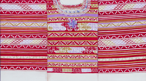 Artista guatemalteca exhibe su obra en Austria 