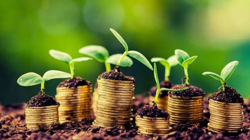 Los agronegocios que crecen entre México y Guatemala