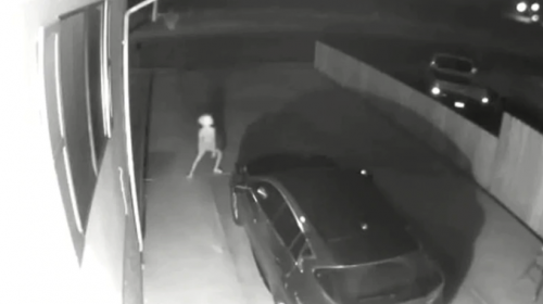 Captan en video a extra&ntilde;a criatura frente a una vivienda