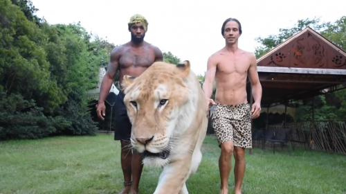 J&oacute;venes llevan de paseo a felino m&aacute;s grande del mundo