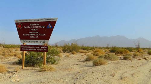 Tres menores guatemaltecos migrantes mueren en la frontera 