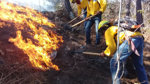 Incendios han consumido alrededor de 500 hectáreas en el país