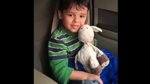 Familia busca a jirafa "Sofi" por la que dan recompensa