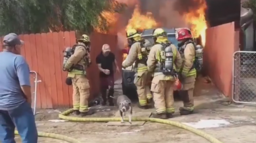 El hombre que se enfrent&oacute; a un incendio para salvar a su perro