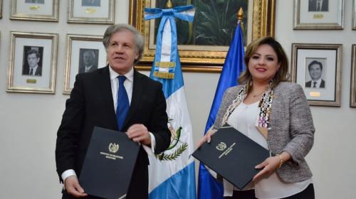 Misi&oacute;n de OEA verificar&aacute; que las elecciones sean transparentes