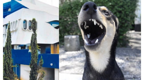 &iexcl;Se logr&oacute;! Solovino se queda en el Teatro, seg&uacute;n informe oficial