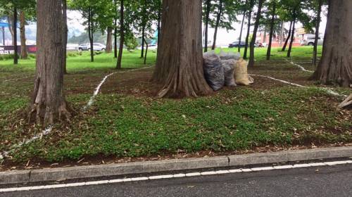 Vecinos temen una tala de &aacute;rboles en este importante sector