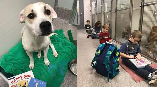 Ni&ntilde;os le leen cuentos a perros de albergues para sanarlos