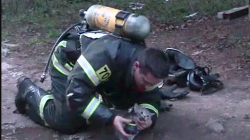 Bombero lucha por revivir a un gato que encontr&oacute; en un incendio