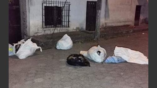 Cuerpos localizados en la zona 7 tendrían un año de fallecidos