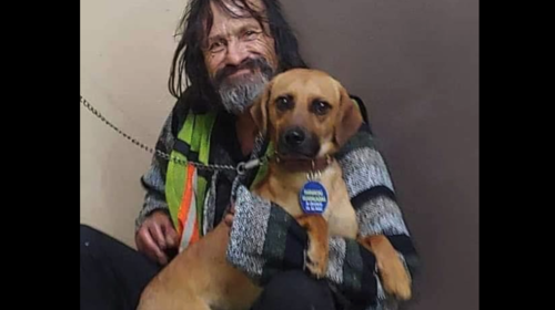 Hombre llora sin parar ante al cuerpo de su perro atropellado