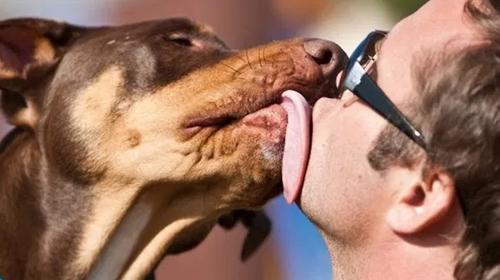 Hombre fallece tras contraer infecci&oacute;n por lamida de su perro